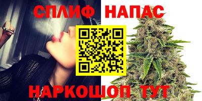 гашик Краснознаменск
